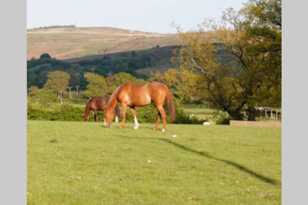 Upper Heath Farm - Stable Cottage Ludlow Крейвен-Армс Экстерьер фото